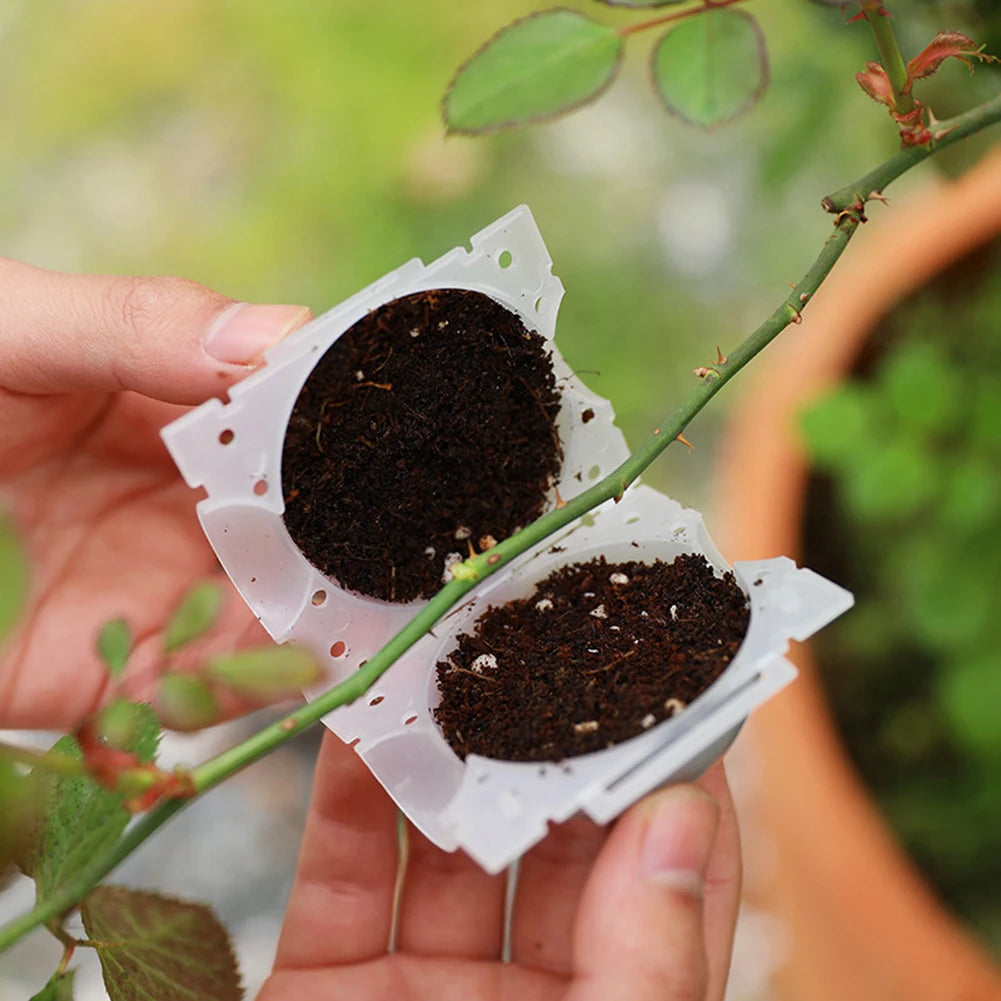 Boule de Bouturage pour Plantes & Arbres