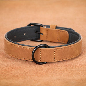 Genuine Leather Collar for Large Dogs – Comfort and Strength for Powerful Breeds