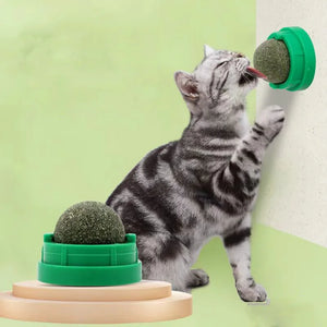 Catnip Ball Stick on Wall - Cat Scratching Toy with Natural Treats, Digestion Aid, Healthy Snack for Cats