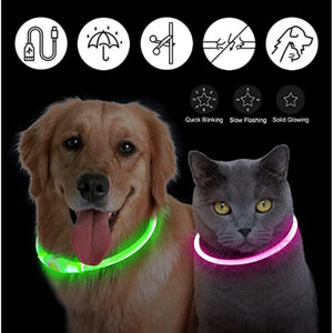 USB Rechargeable Light Up Collar, Adjustable Glowing LED Collar for Large Small Dogs, Night Glowing Cat Collar, Pet Safety Harness