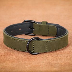 Genuine Leather Collar for Large Dogs – Comfort and Strength for Powerful Breeds