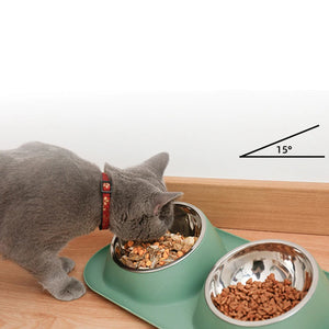 Raised Ergonomic Bowl – Optimal Comfort for Cats and Dogs