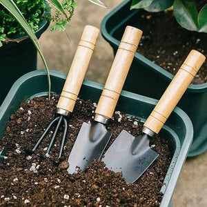 Set de 3 Mini Outils de Jardin