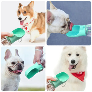 Tragbare Wasserflasche für Hunde – praktischer Futter- und Wasserspender für unterwegs