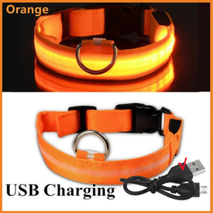 USB Rechargeable Light Up Collar, Adjustable Glowing LED Collar for Large Small Dogs, Night Glowing Cat Collar, Pet Safety Harness