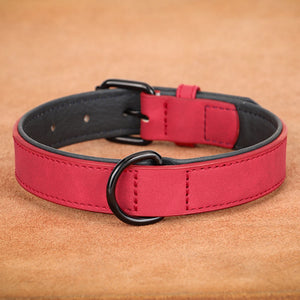 Genuine Leather Collar for Large Dogs – Comfort and Strength for Powerful Breeds