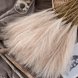 "Fluffy Pampas Grass 55CM (5/1Pcs) - Bohemian Decoration, Artificial Flowers for Wedding, Parties, Christmas and Home"