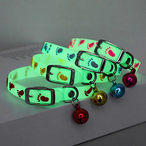 Luminous Cat Collar - Anti-Lost Fluorescent Collar with Silicone Bell for Small Dogs and Cats