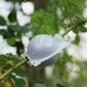 Boule de Bouturage pour Plantes & Arbres